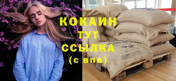 ГАЛЛЮЦИНОГЕННЫЕ ГРИБЫ Аркадак
