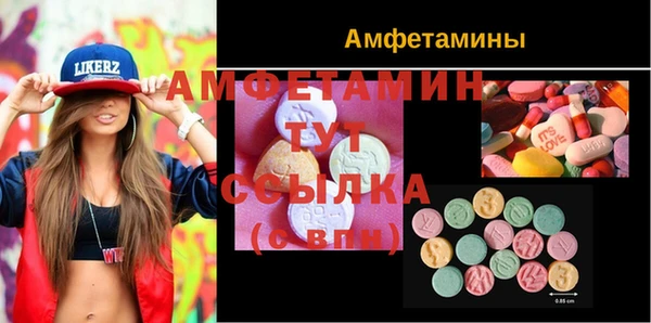 ГАЛЛЮЦИНОГЕННЫЕ ГРИБЫ Аркадак
