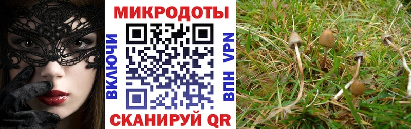 Псилоцибиновые грибы мухоморы  гидра зеркало  Усинск  купить наркотик 